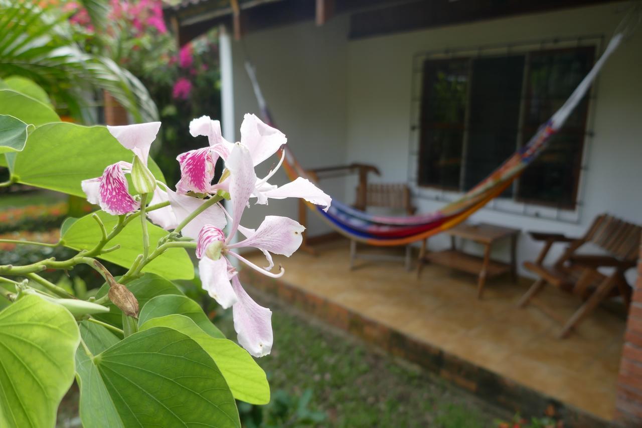 Hotel Escape Caribeno à Puerto Viejo de Talamanca Extérieur photo